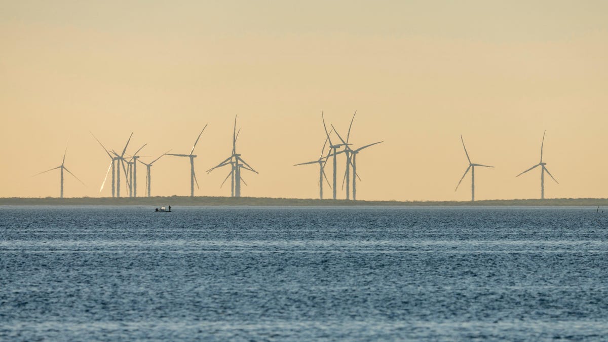 Renewable Energy Overtakes Coal in US for the First Time in History