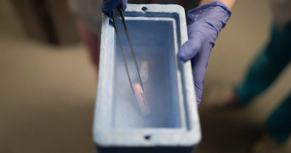 Dutch court bans sperm donor father of 550+ kids from donating again.