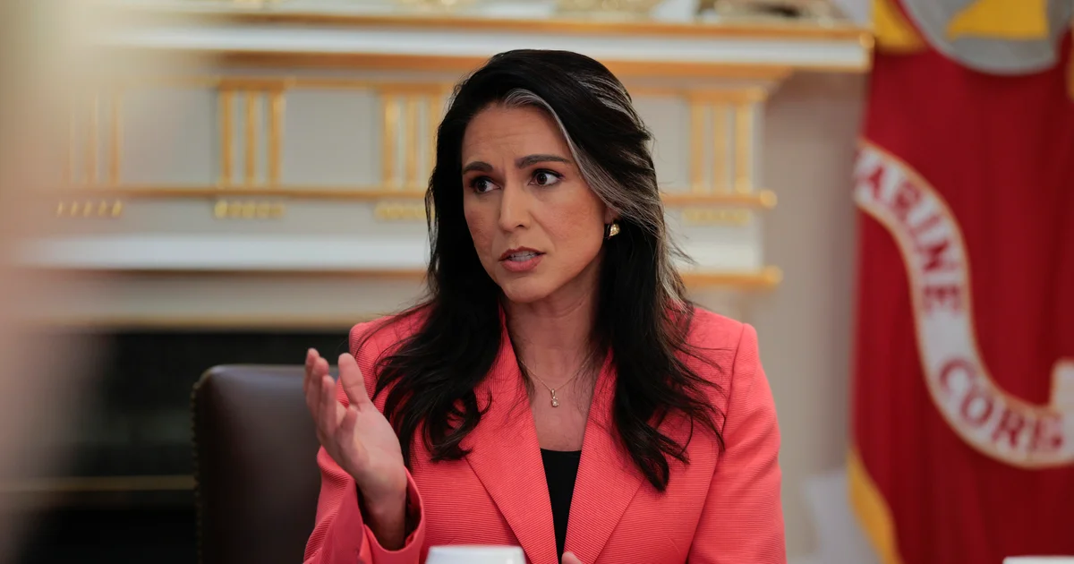 Featured image for Tulsi Gabbard Demands U.S. Intel Leak Crackdown