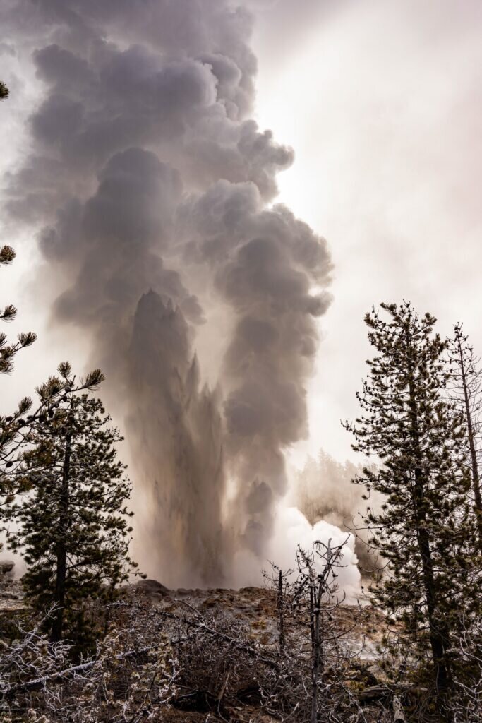 "Drought's Impact on Yellowstone Geyser Unveiled through Petrified Trees"