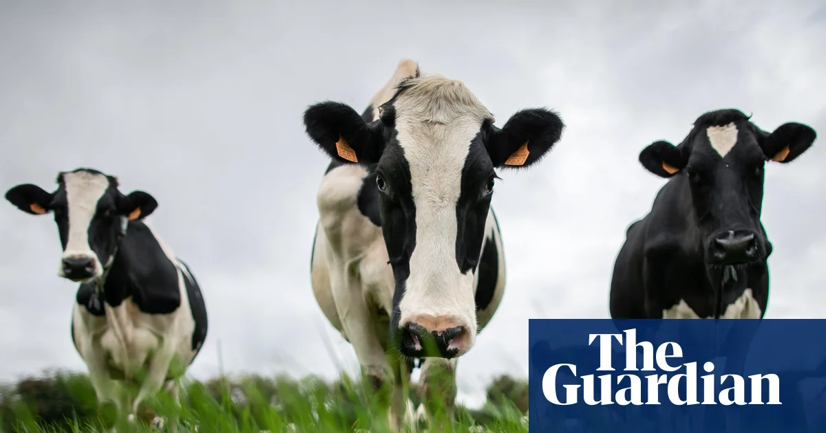 Featured image for China Imposes Tariffs on EU Dairy and Pork Imports Amid Trade Tensions
