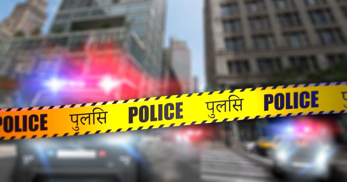 Gruesome Mumbai Murder: Man Cooks and Feeds Girlfriend's Body Parts to Dogs