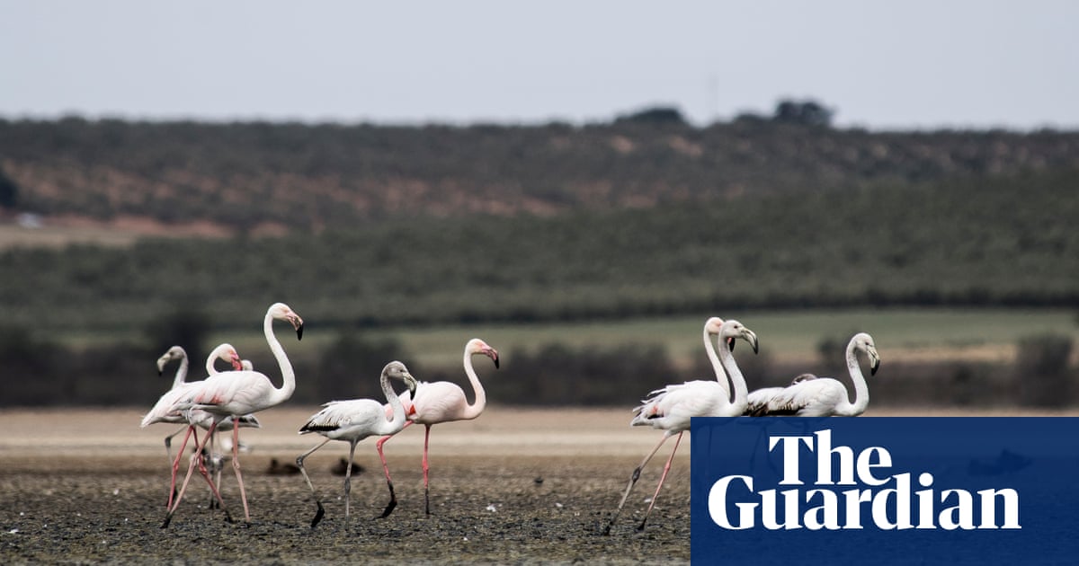 Climate Change Drives Unprecedented Mediterranean Heat Wave.