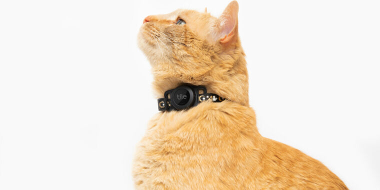 Tile's Improved Cat Tracker Technology with Long Battery Life and Stylish Design.