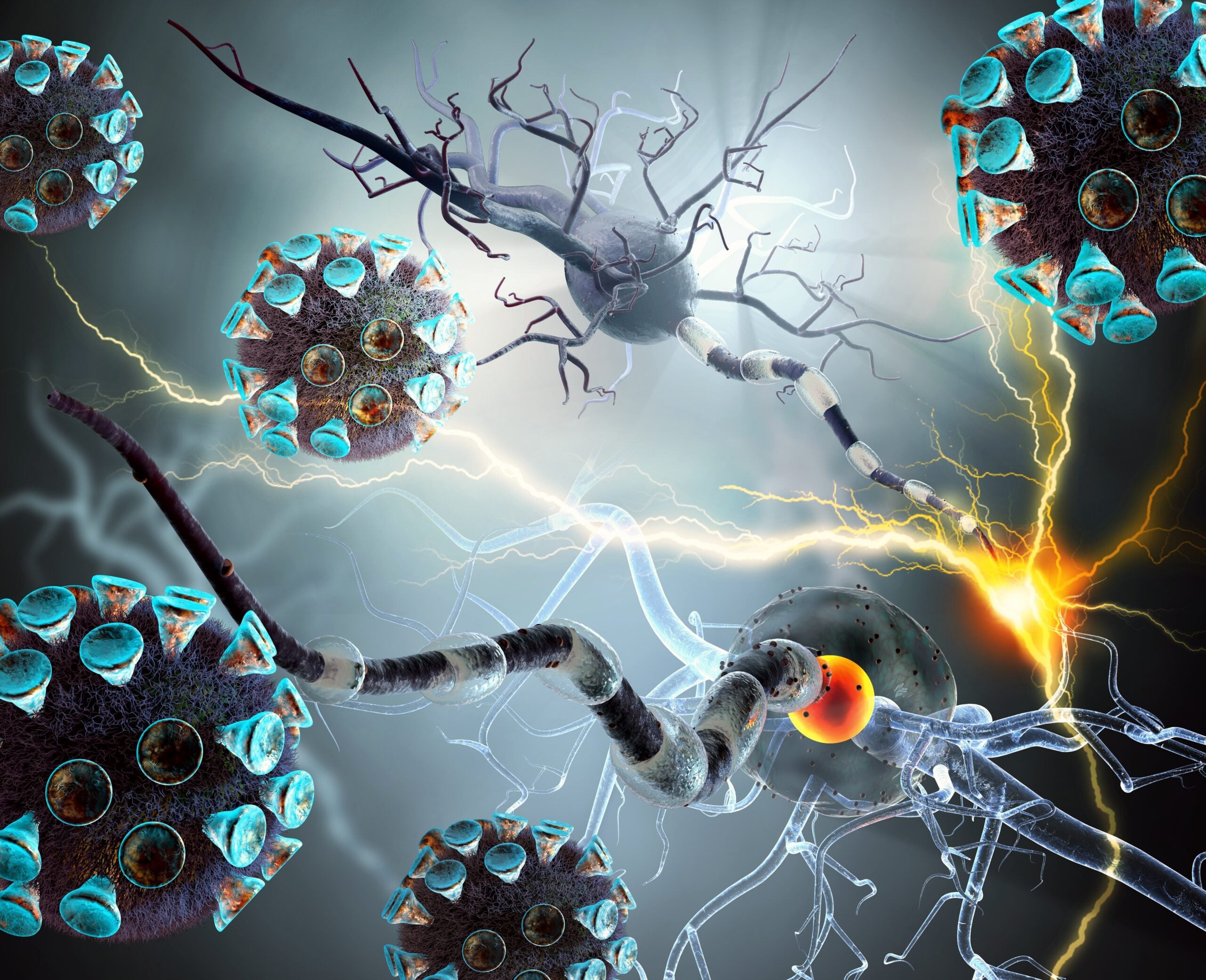 Featured image for "The Brain's Response to COVID-19: Inflammation, Cognitive Symptoms, and Long-Term Impact"