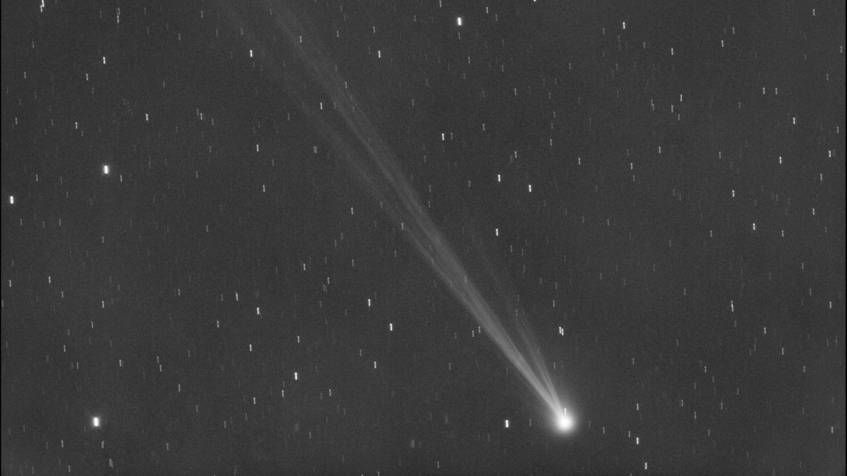 Featured image for Don't Miss Your Last Chance to Spot Comet Nishimura