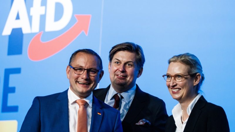 Featured image for "German Far-Right Party Deems EU a Failed Project"