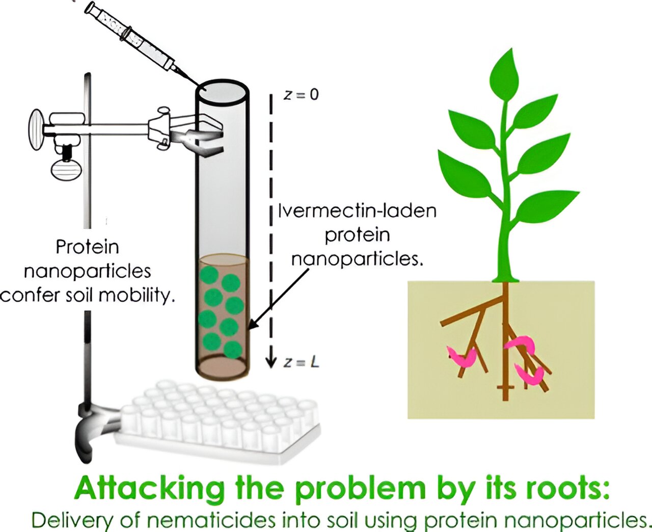 "Plant Virus Nanoparticles: A Game-Changer for Pest Control in Agriculture"
