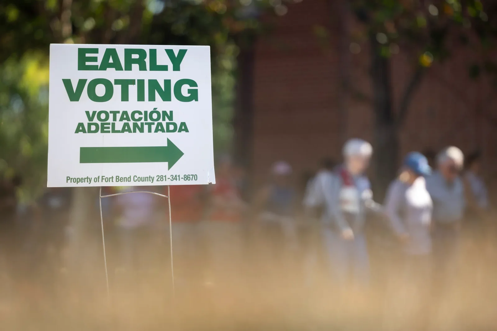 Texas midterm turnout hits record highs as Democratic primary leads early voting