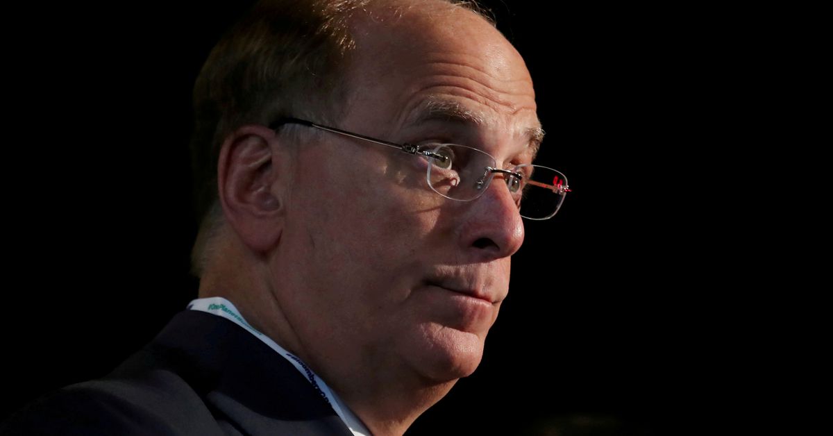 BlackRock CEO Larry Fink Warns of Financial Risks and Slow Rolling Crisis.