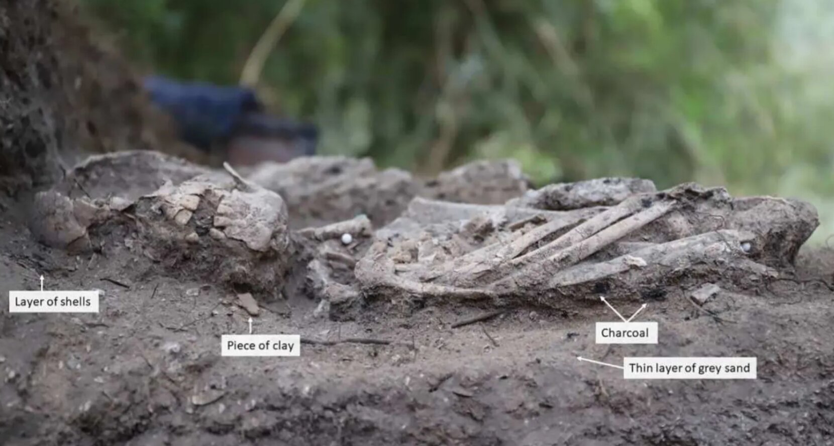 Featured image for Mesolithic Child Burials Reveal Hunter-Gatherer Funeral Practices