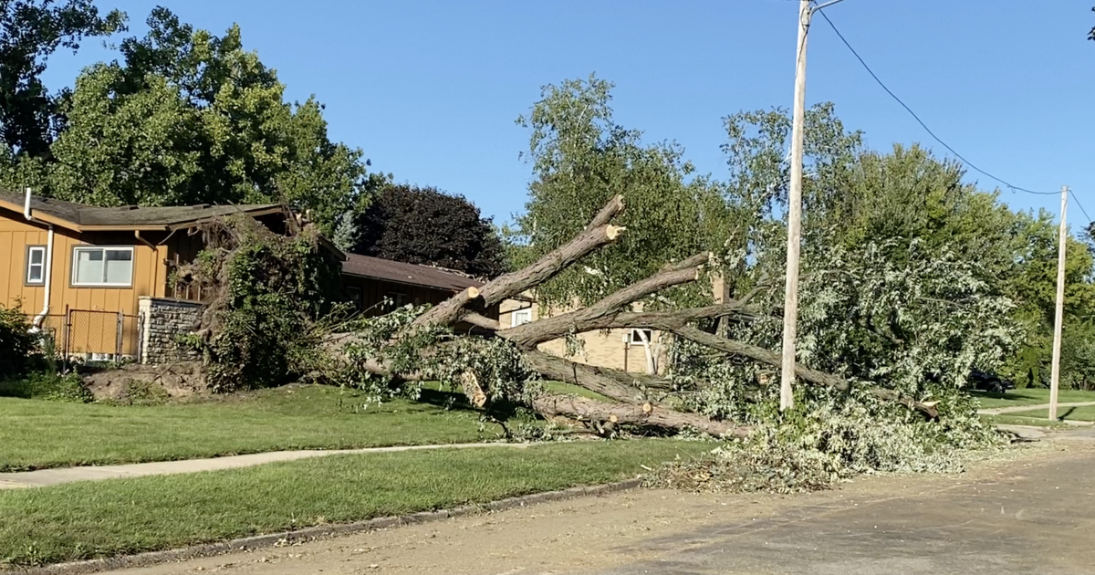 Featured image for Branches Keep Piling Up: Crews Work Around the Clock