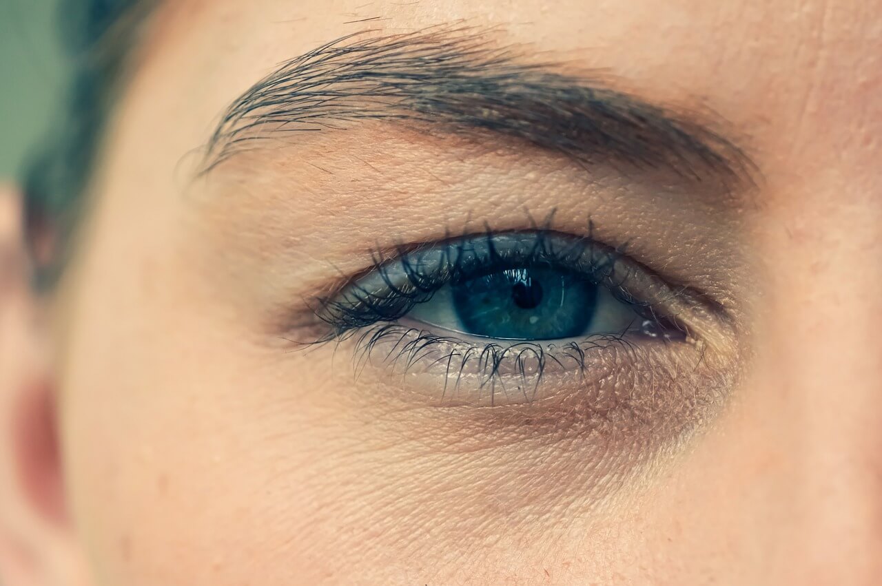 Featured image for The Genetic Link: Eyebrow Thickness Determined by DNA