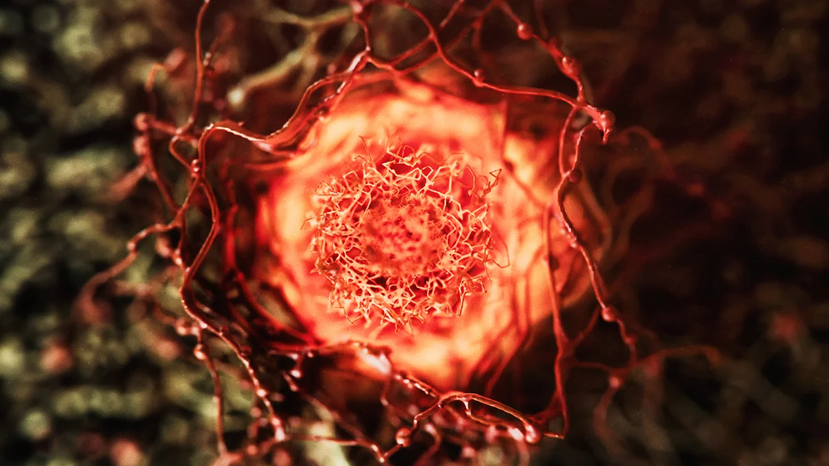 Cancer Harnesses Anti-Aging Polyamines to Accelerate Growth, Study Finds