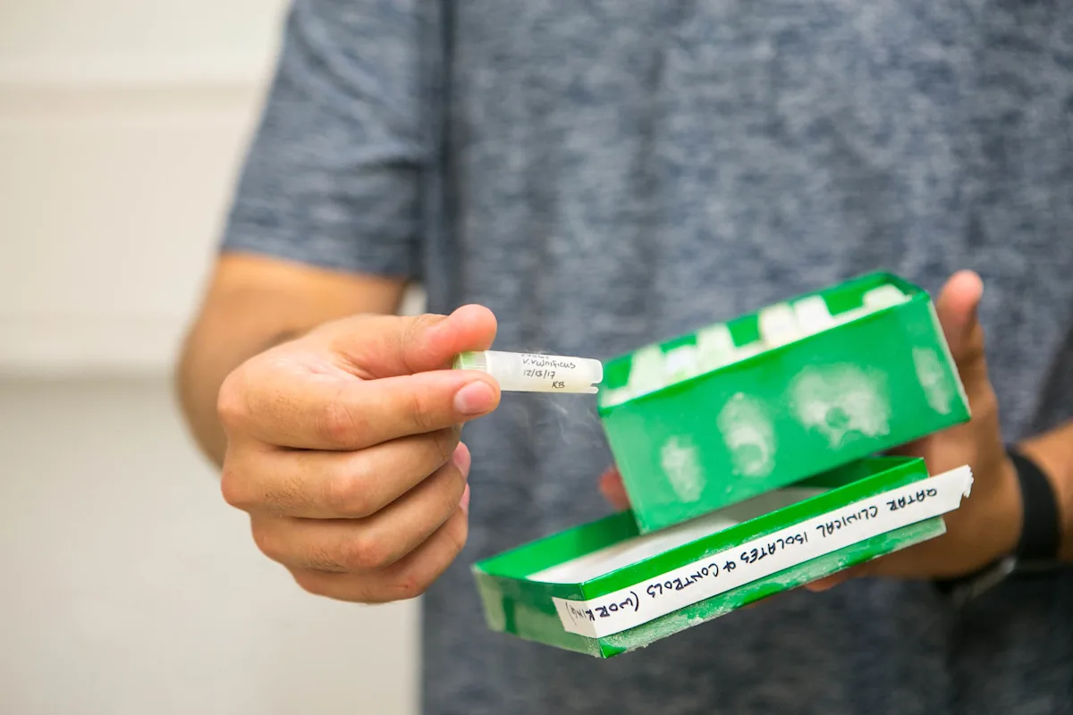 Florida Bacteria Outbreak Kills 4: What You Need to Know