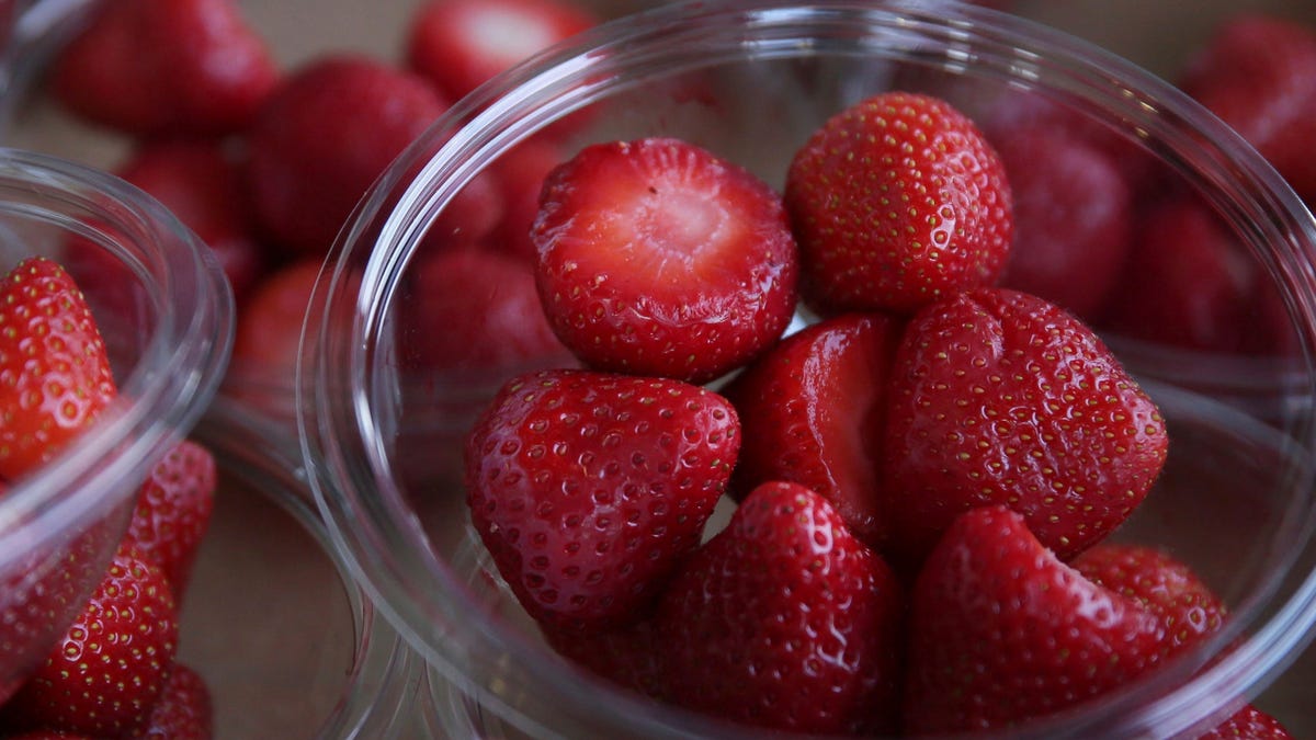 Featured image for Tragic Death of 8-Year-Old Kentucky Boy Linked to School Fundraiser Strawberries