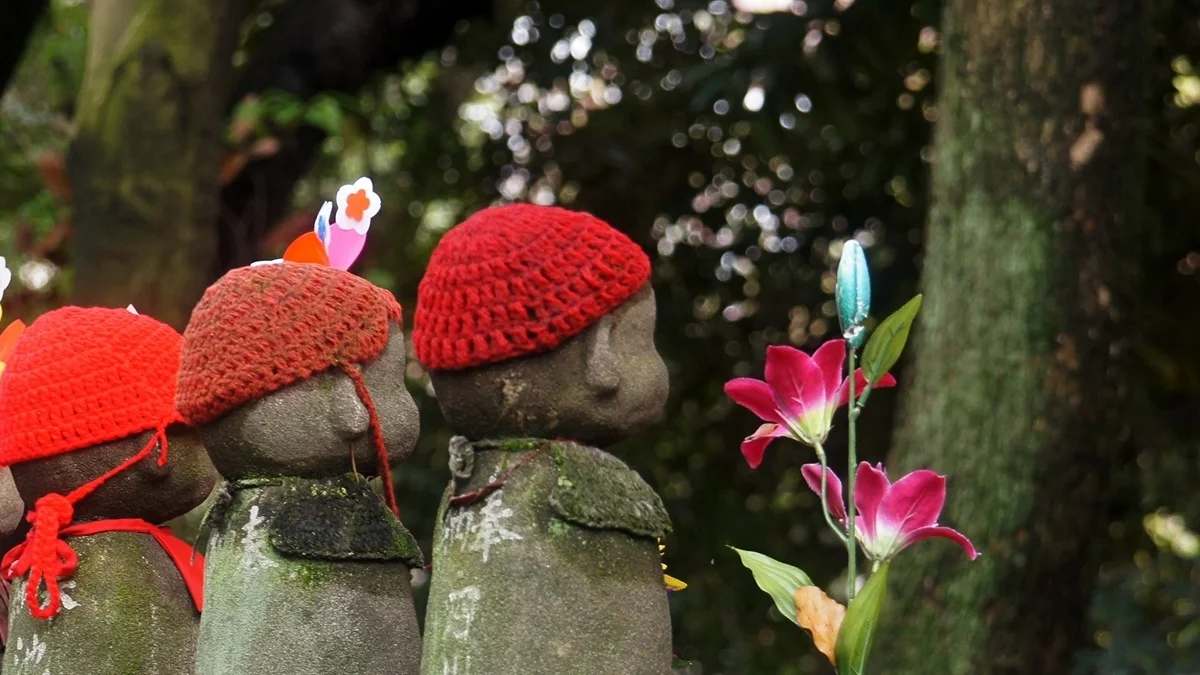 Maternal Genetics Linked to Embryo Chromosome Loss Risk