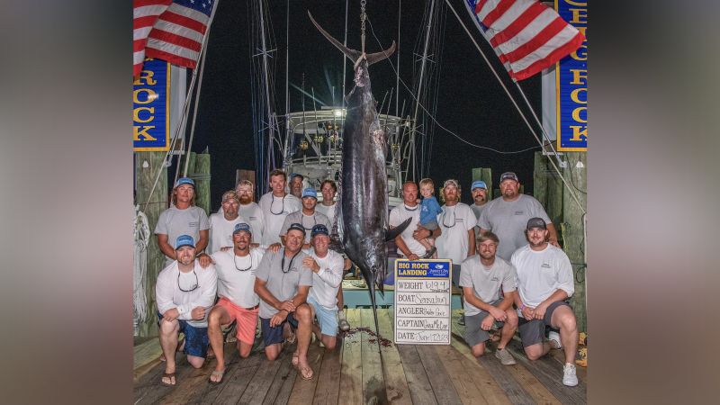 Controversy at North Carolina fishing tournament as massive marlin disqualified.