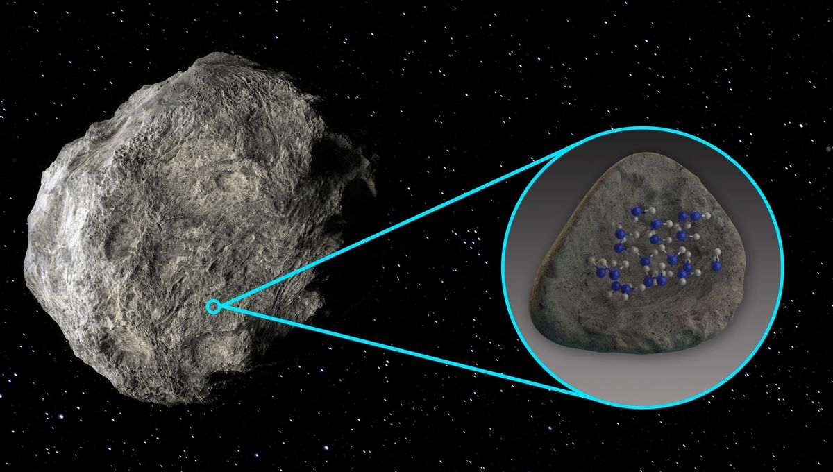 Featured image for "First-Ever Discovery: Water Detected on Asteroid Surfaces"