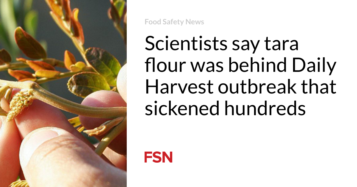 Tara Flour Linked to Daily Harvest Outbreak.