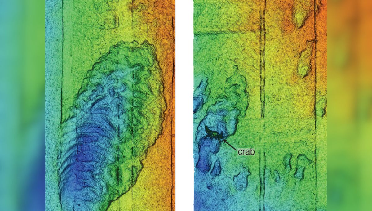 Featured image for Unveiling the Astonishing Depths of the Pacific's "Grand Canyon"