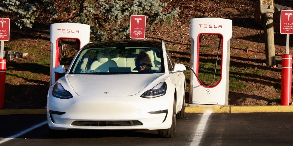 Tesla Owners' Perception of Model 3 and Elon Musk: A Revealing Survey