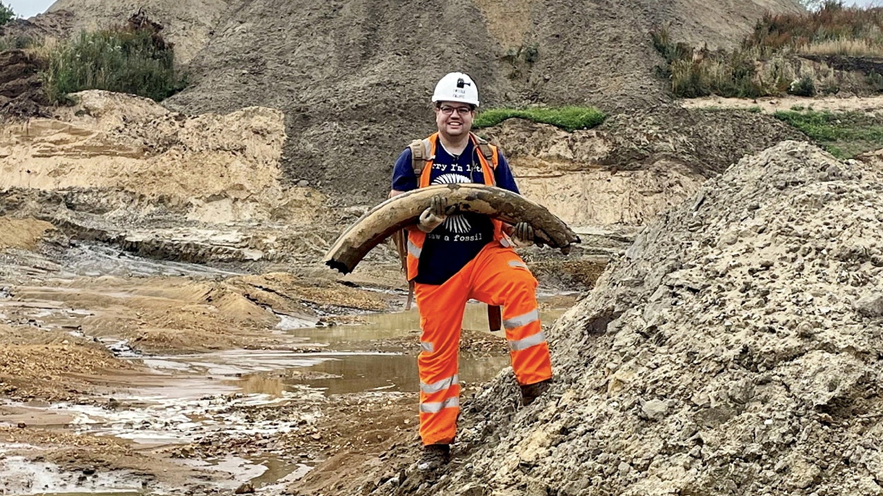 Featured image for "Fossil Hunter Unearths Rare 450,000-Year-Old Mammoth Tusk in UK Quarry"