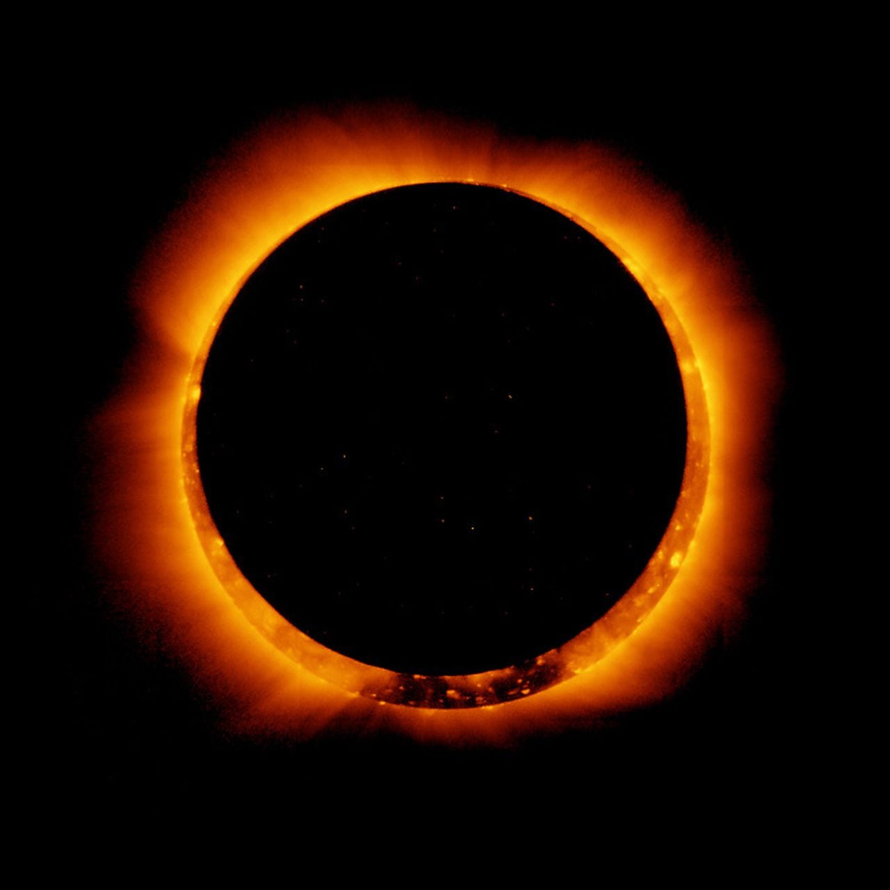 Featured image for "October's Celestial Spectacles: Solar Eclipse, Meteor Shower, and More"