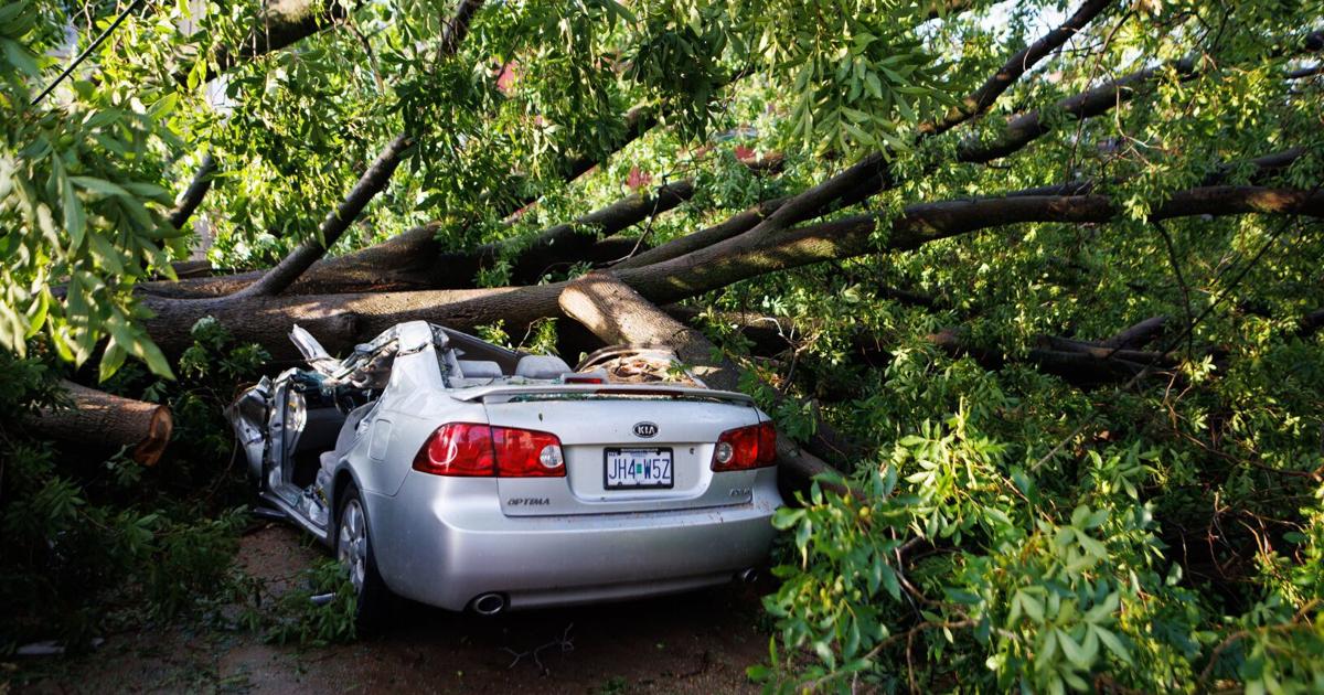 Fatal Storm: Woman Killed as Tree Limb Crushes Car in St. Louis