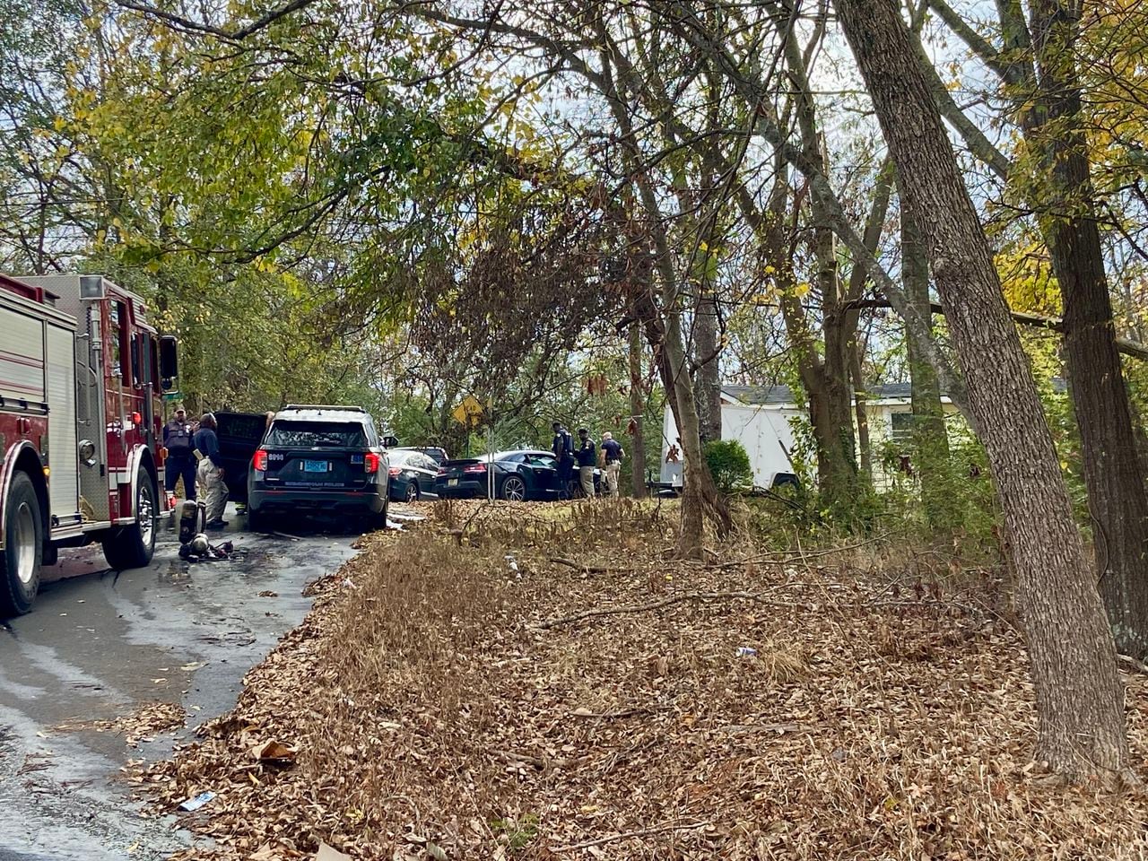 Tragic Triple Shooting: Man, Dog, and Friend Found Dead in Burning Birmingham Home