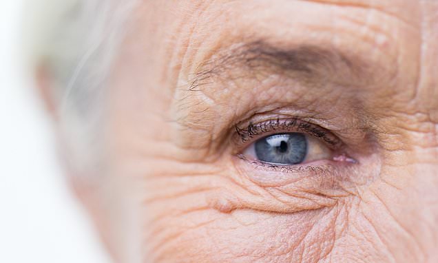 Featured image for New breakthrough in reversing sight loss discovered by scientists.