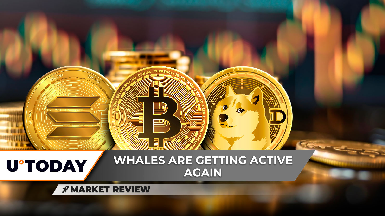 Dogecoin Surges Amid Market Shifts and Bullish Bets