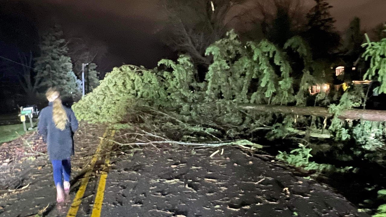 "Severe Storms Ravage Chicago Area, Causing Widespread Damage"