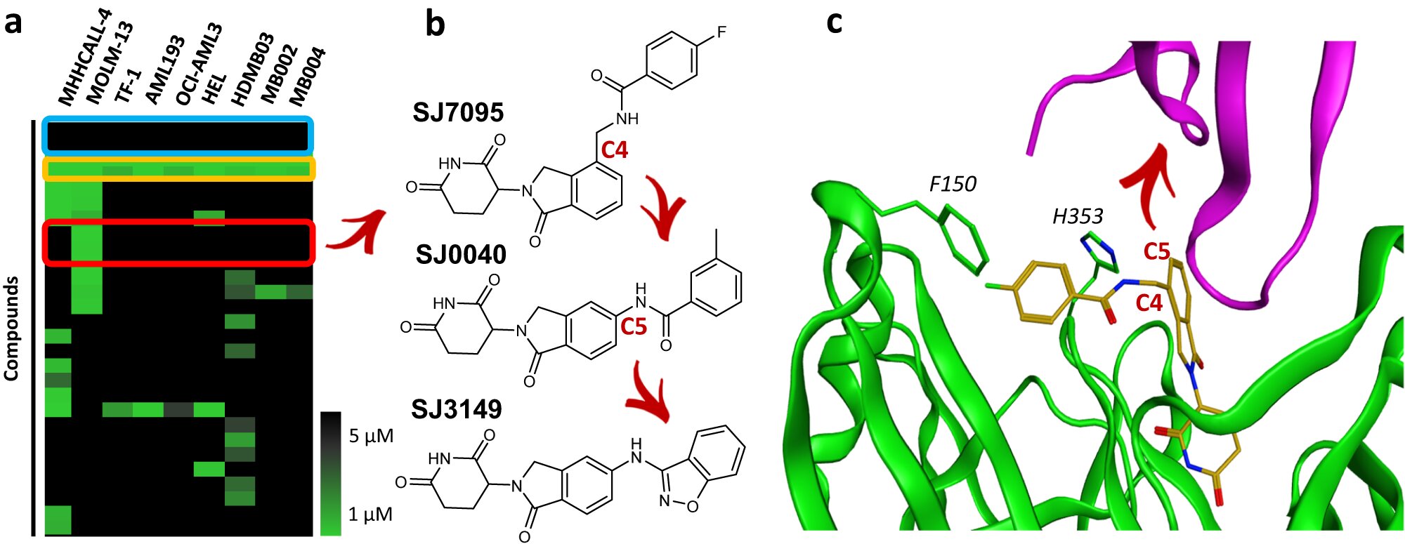 Featured image for "Novel Molecular Super-Glue Platform for Pediatric Cancer Drug Discovery"