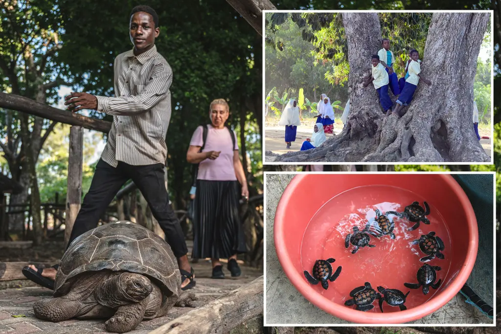 Featured image for Tragedy Strikes: 9 Dead After Consuming Sea Turtle Meat in Zanzibar