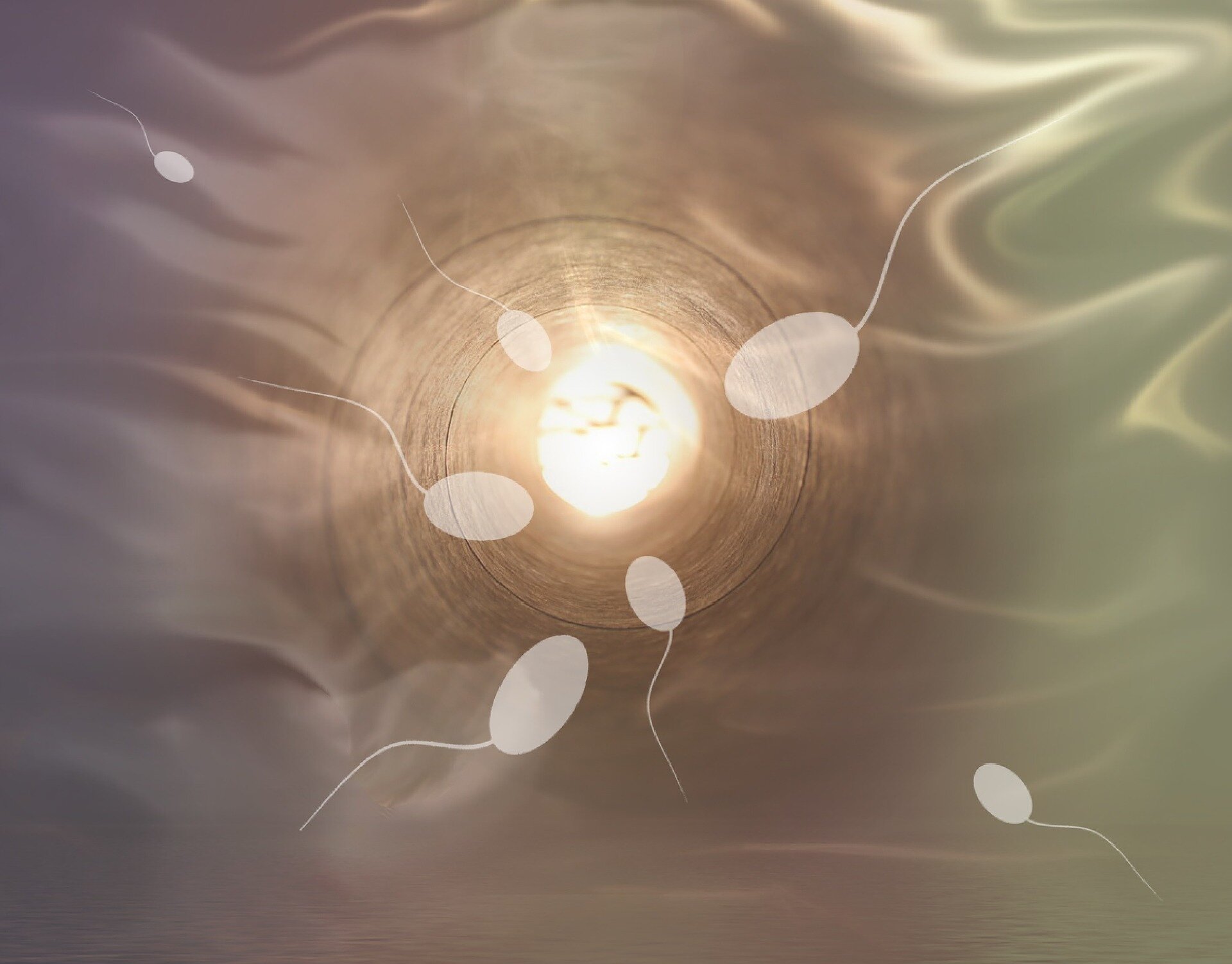 Featured image for Mitochondrial DNA missing in mature sperm, study reveals