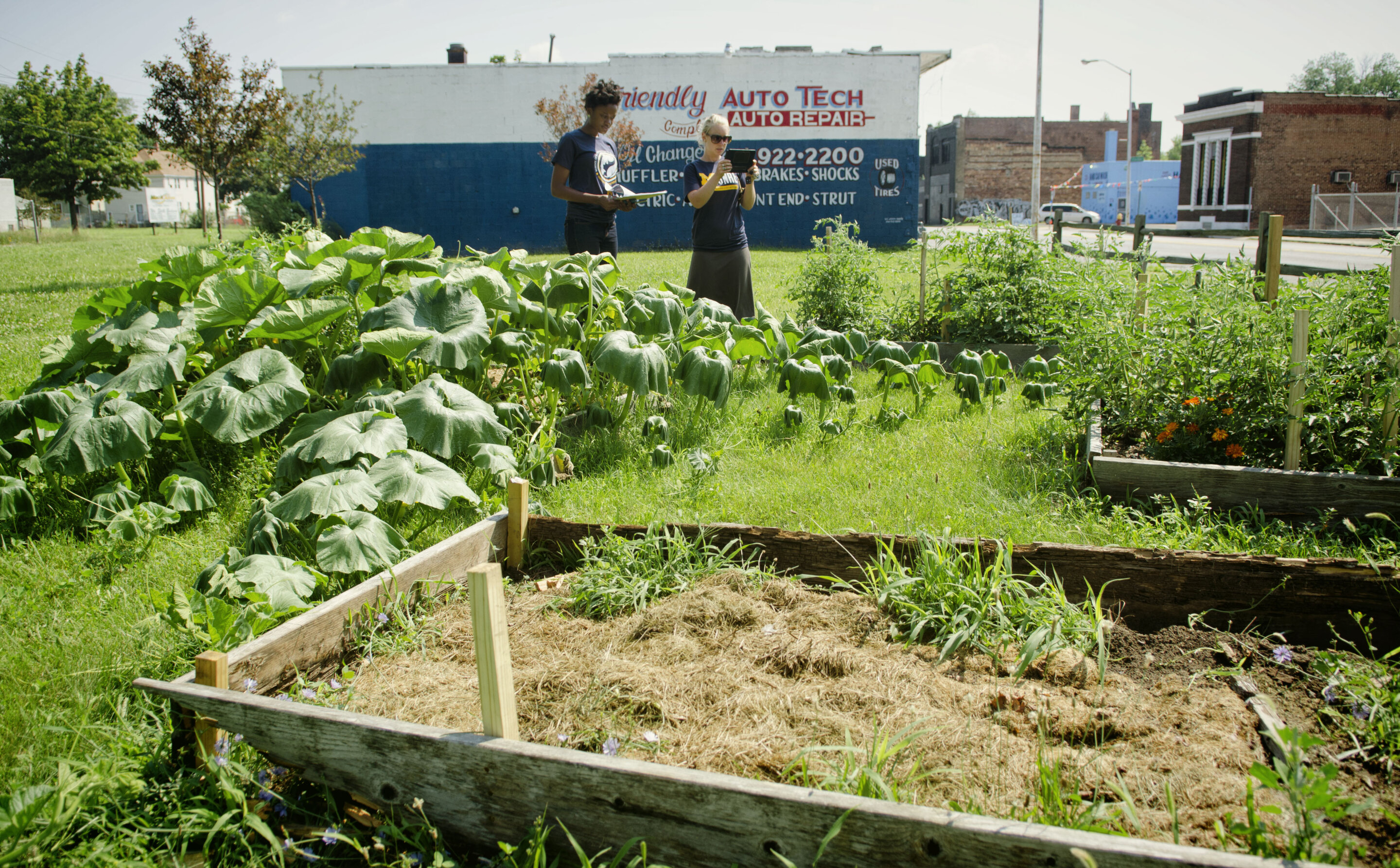 "Revealing the Surprising Carbon Footprint of Urban Agriculture"