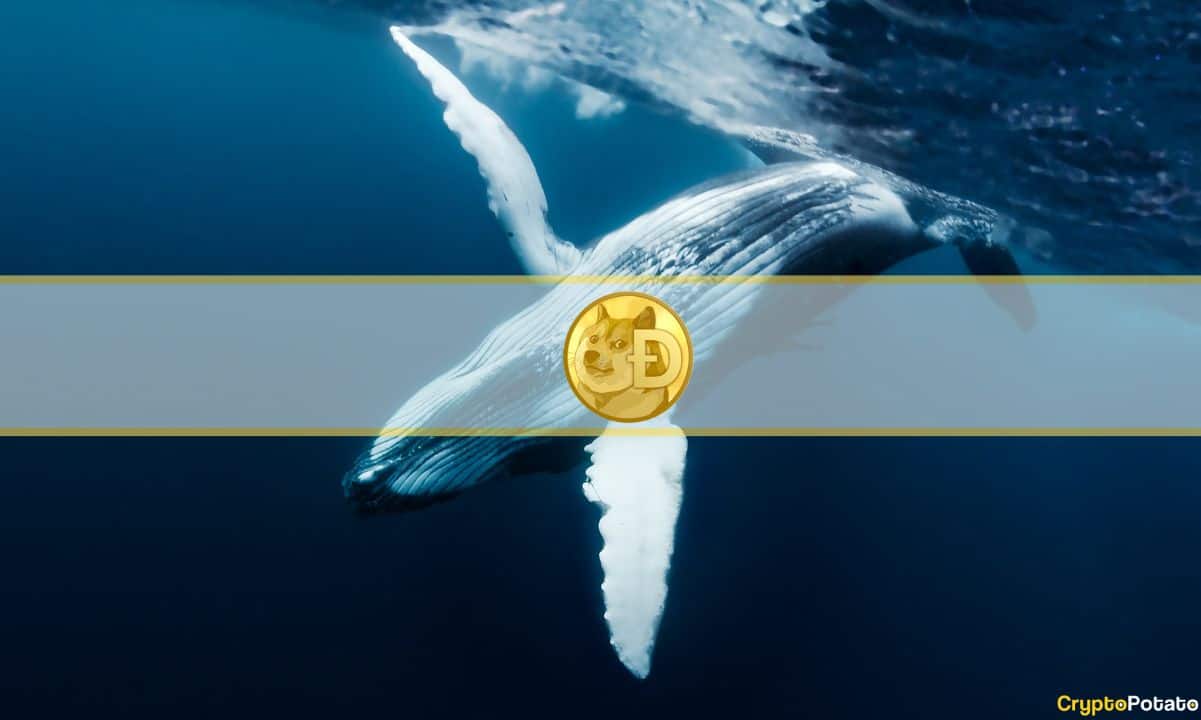 Twitter Logo Change Triggers Dogecoin Dump by Whales and Memecoin Slump