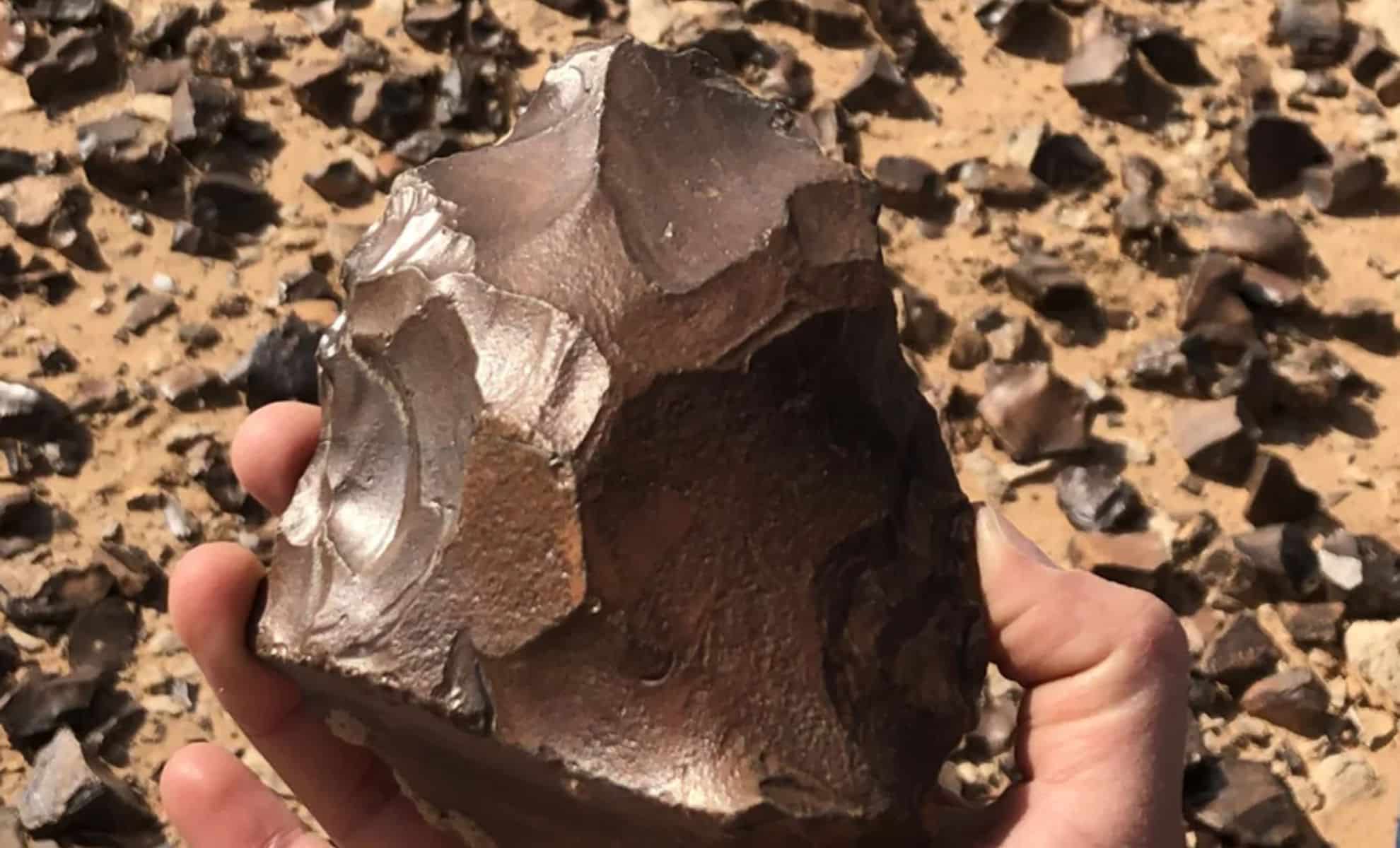 Featured image for Ancient 1.5-Million-Year-Old Tools Discovered in Desert