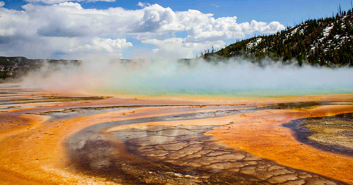 Featured image for Dual-Function Respiratory Cells