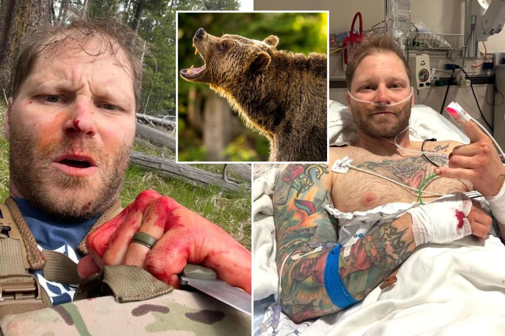 Featured image for Veteran Survives Grizzly Attack in Grand Teton National Park