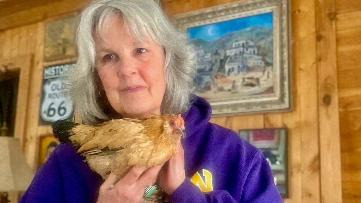 Featured image for "Peanut: The 21-Year-Old Chicken Who Broke World Records"