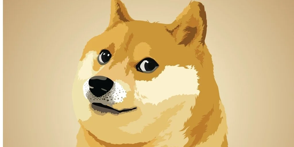 Dogecoin Surges Amid Election Optimism and Whale Activity