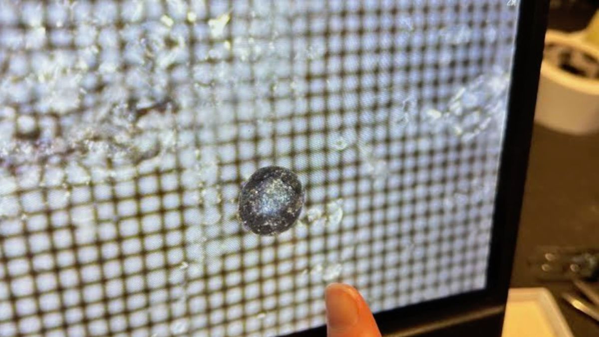 Featured image for Harvard Astronomer's Controversial Claims on Interstellar Meteor Fragments and Extraterrestrial Metal