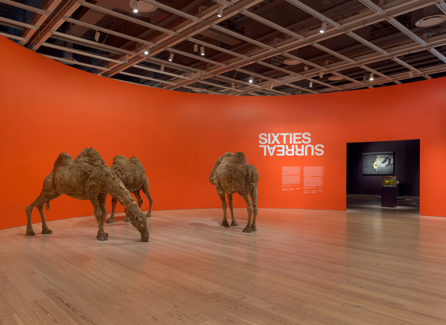 Featured image for Disappointing Surrealism Show Leaves Audience Unfulfilled