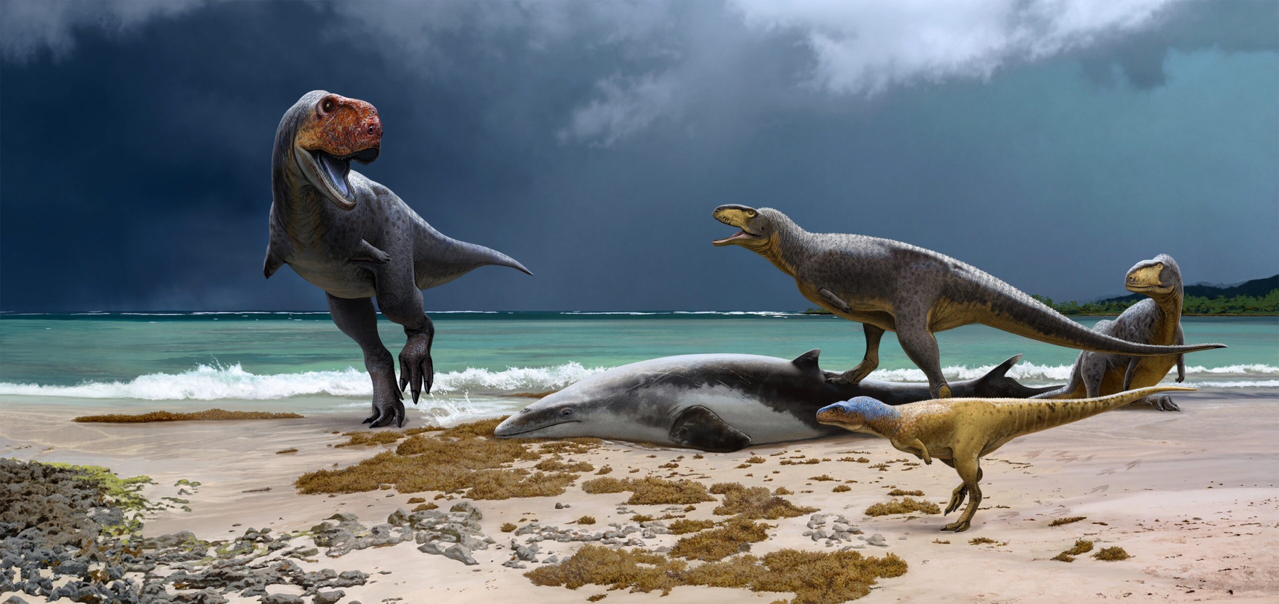 Short-armed and Bulldog-faced: The Lesser-known Cousins of T. rex