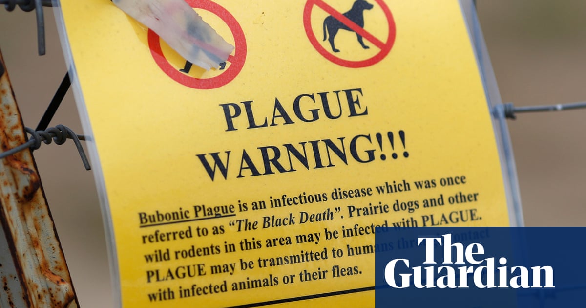 "Oregon Resident Contracts Rare Bubonic Plague from Pet Cat: What You Need to Know"