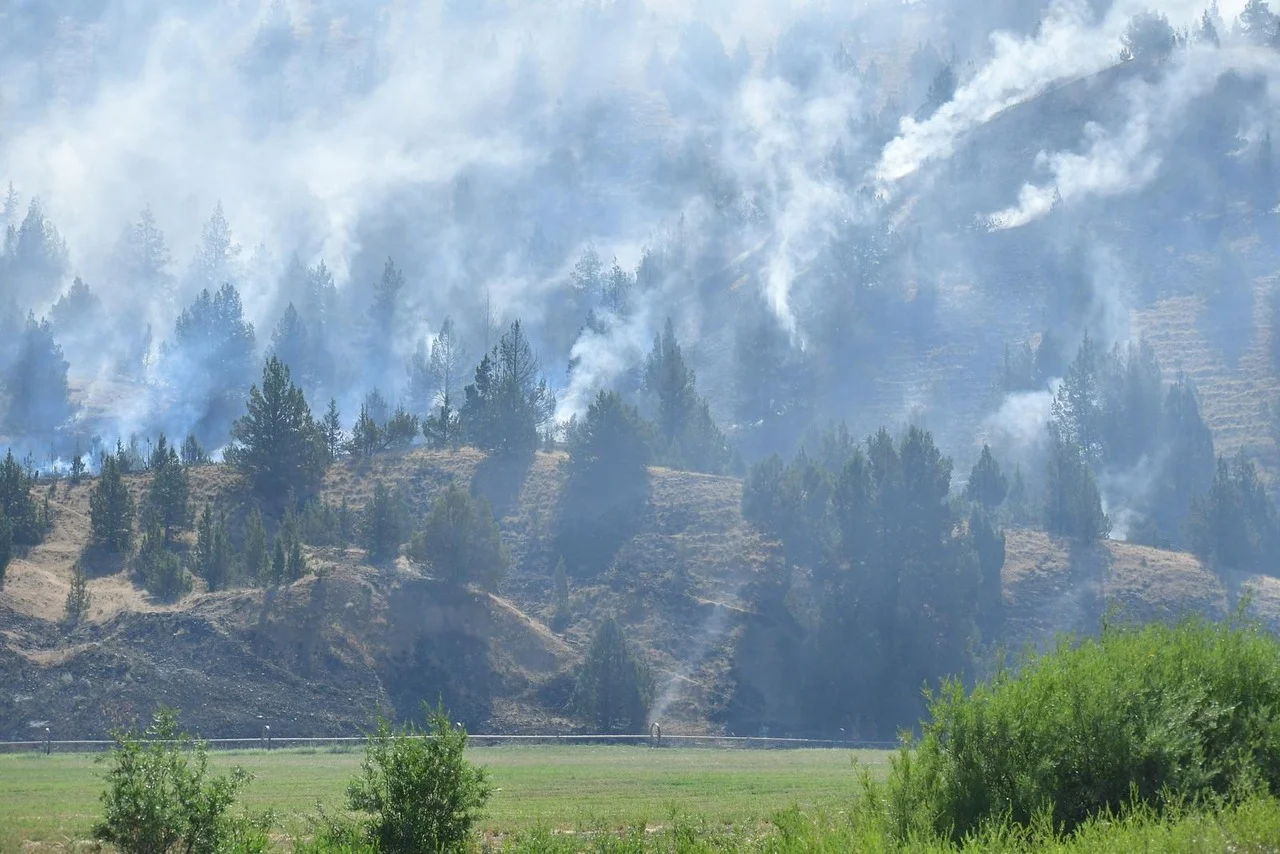 Cram Fire Becomes Largest Wildfire of the Year in Oregon