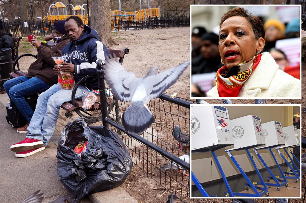 Featured image for "NYC Council Appeals for Non-Citizen Voting Rights in Local Elections"