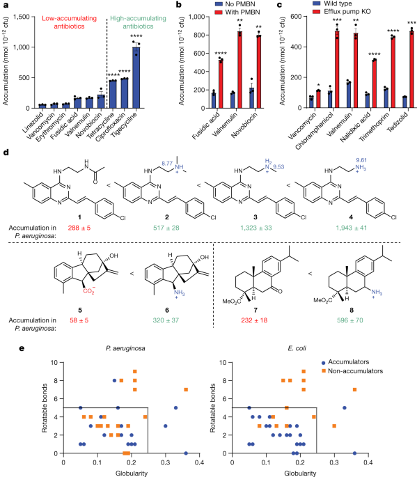 Featured image for Unveiling Antibiotic Discovery Breakthroughs in Pseudomonas